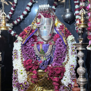 Ayushya Homam